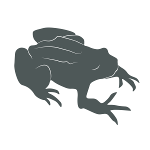 Common Frog icon