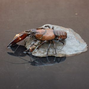 Signal Crayfish